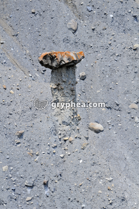 Cheminée des fées (Theus) - gryphea.org